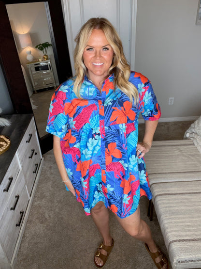 Mother Nature's Recipes Collared Dress in Blue